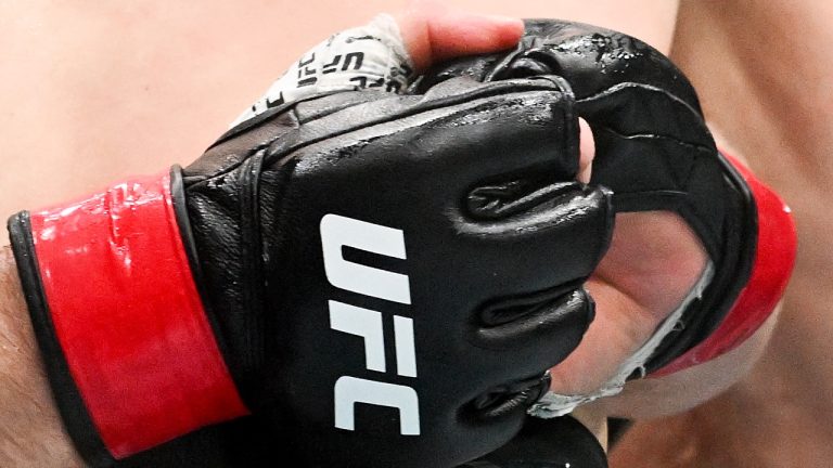 A close up view of UFC gloves during a mixed martial arts bout. (Graham Hughes/CP)
